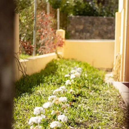 Olive Grove Luxury Maisonette In Corfu Town Holiday home *